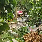 Sky - Bubble Tuscany Nel Ex Convento Delle Suore Glamping