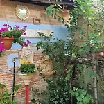 Glamping Sky - Bubble Tuscany Nel Ex Convento Delle Suore Carrara
