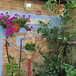 Glamping Sky - Bubble Tuscany Nel Ex Convento Delle Suore *