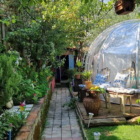 럭셔리텐트 Sky - Bubble Tuscany Nel Ex Convento Delle Suore