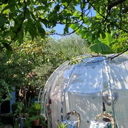 Glamping Sky - Bubble Tuscany Nel Ex Convento Delle Suore *