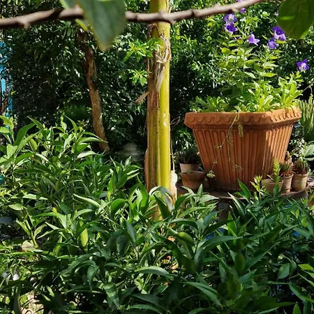 Glamping Sky - Bubble Tuscany Nel Ex Convento Delle Suore *