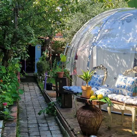 Sky - Bubble Tuscany Nel Ex Convento Delle Suore 럭셔리텐트
