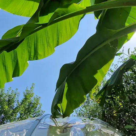 럭셔리텐트 Sky - Bubble Tuscany Nel Ex Convento Delle Suore