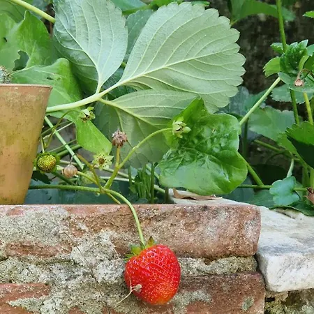 럭셔리텐트 Sky - Bubble Tuscany Nel Ex Convento Delle Suore